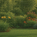Premium 13mm x 25mm 19G Wire Mesh – Rust-Proof, Durable & Multi-Purpose for Home & Industry!