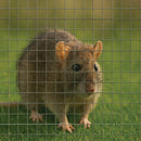 Premium 13mm x 25mm 19G Wire Mesh – Rust-Proof, Durable & Multi-Purpose for Home & Industry!