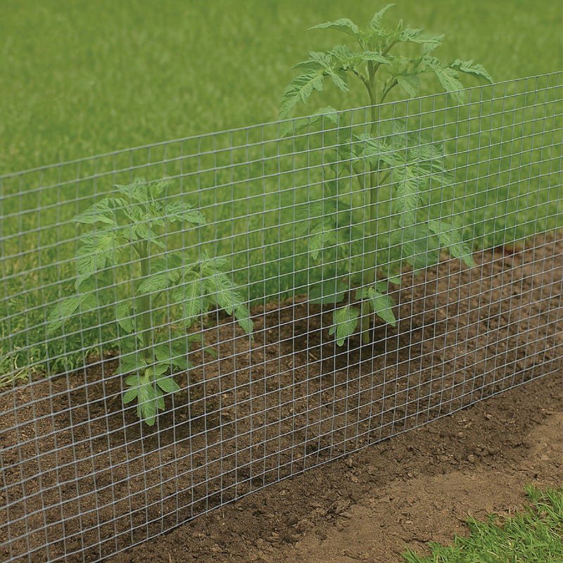 Premium Rabbit Enclosure Wire Mesh – 13mm x 13mm, 19 Gauge Galvanized Mild Steel - Lightweight