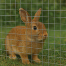 Premium 13mm x 13mm 19G Wire Mesh – Heavy-Duty, Rust-Proof & Ideal for Secure Enclosures!