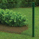 Best-Selling Galvanised Wire Netting – 13mm Hexagonal Hole, Green PVC-Coated Steel