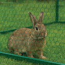 Best-Selling Galvanised Wire Netting – 13mm Hexagonal Hole, Green PVC-Coated Steel