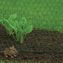 Best-Selling Galvanised Wire Netting – 13mm Hexagonal Hole, Green PVC-Coated Steel