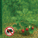 Best-Selling Galvanised Wire Netting – 13mm Hexagonal Hole, Green PVC-Coated Steel