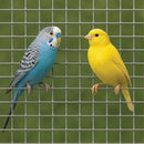 Premium Stainless Steel Mesh – 13mm x 13mm Square Holes, 16 Gauge Welded Wire