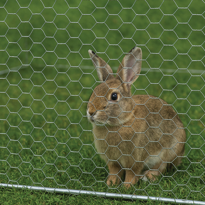 Premium 13mm Wire Netting – Ultra-Strong, Rust-Resistant & Versatile!