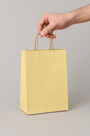 Premium Ivory Paper Bags with Twist Handle Eco-Friendly Retail Event Packaging