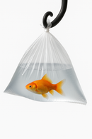 Premium Leak-Proof Polythene Bags – 200–250 Gauge Food-Safe Clear &amp; Heavy-Duty for Catering &amp; Storage