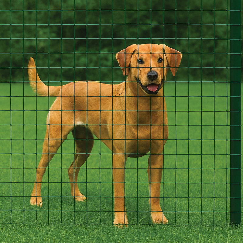 Green PVC Coated Wire Mesh, 25 x 25mm Square Holes 16 Gauge Galvanised Steel (Medium Weight)