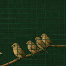 Green PVC Coated Wire Mesh, 25 x 25mm Square Holes 16 Gauge Galvanised Steel (Medium Weight)