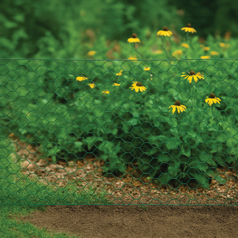 Premium 25mm Green-Coated Wire Netting – Heavy-Duty, Rust-Resistant & Multi-Purpose!