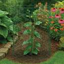 Premium Galvanised Wire Netting – 25mm Hexagonal Hole, Green PVC-Coated Steel