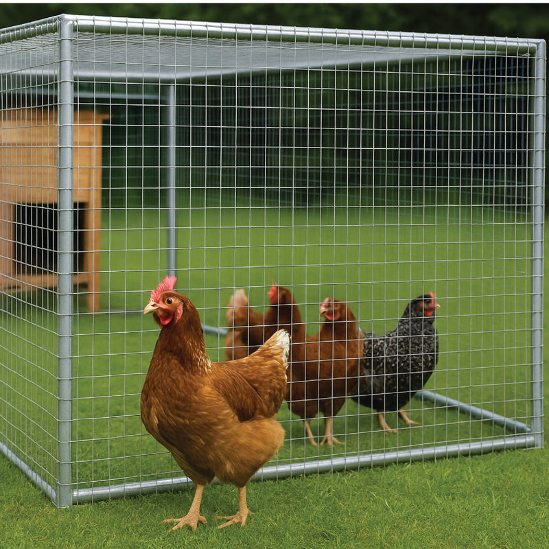 Heavy-Duty 25mm x 25mm 16G Wire Mesh – Rust-Proof, Strong & Versatile for All Uses!