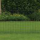 Premium Black PVC Coated Welded Wire Mesh – 25x25mm Square Hole, Medium-weight
