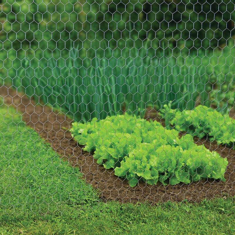 Premium 25mm Wire Netting – Heavy-Duty, Rust-Resistant & Versatile!