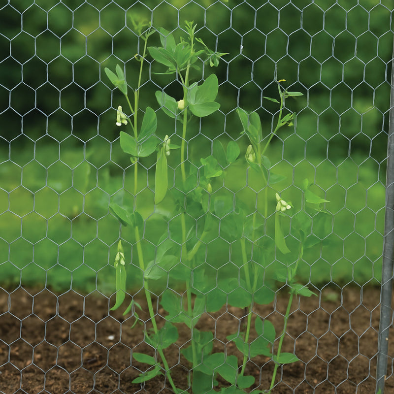 Premium Stainless Steel Netting 25mm – Ultra-Durable, Rust-Resistant & Versatile for Any Application!