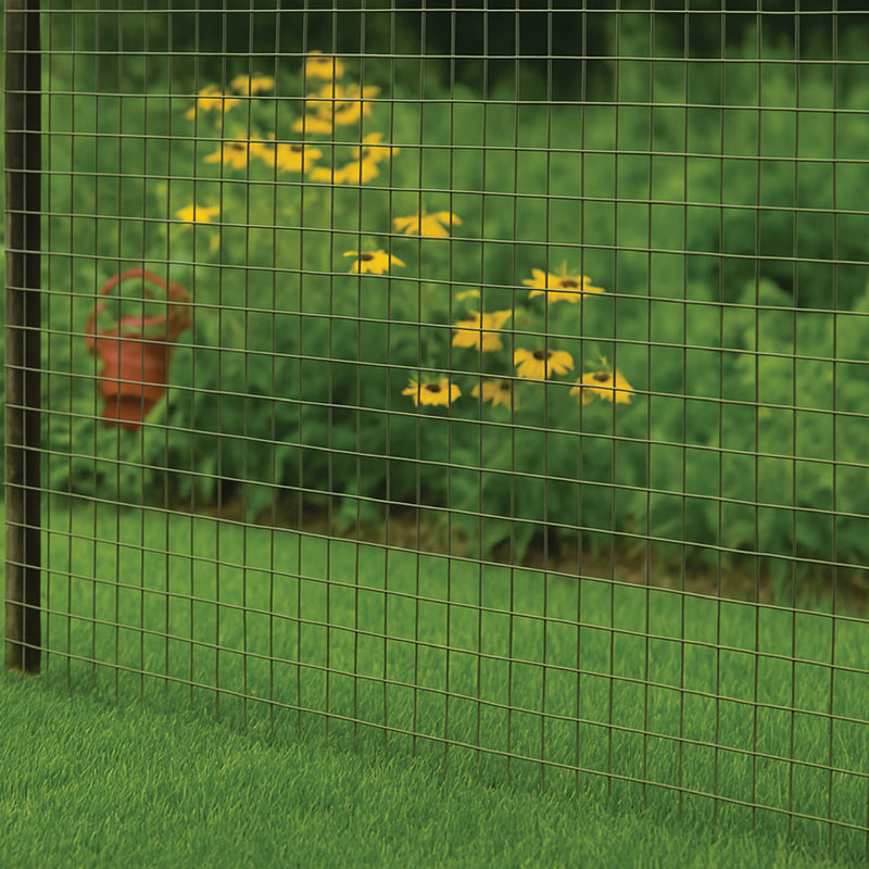 Heavy-Duty Stainless Mesh Panel – 25mm x 25mm Square Holes, 10 Gauge Welded Wire