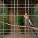 Premium Stainless Steel Wire Mesh – 25x25mm Holes, 16 Gauge, Heavy-Duty & Corrosion-Resistant!