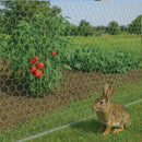 Premium 31mm Wire Netting – Durable, Rust-Resistant, Multi-Purpose Fencing!