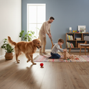 8mm Laminate Flooring - Natural Pine Look