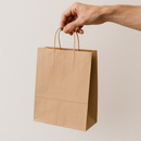 Premium Brown Paper Bags with Twist Handles Heavy-Duty Kraft Recyclable Best for Retail Food Gifts