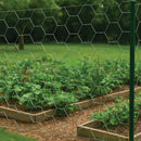 50mm Wire Netting – Heavy-Duty, Rust-Resistant & Versatile Fencing Solution!