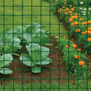 Green PVC Coated Wire Mesh, 50 x 50mm Square Holes 14 Gauge Galvanised Steel (Medium Weight)