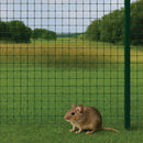 Green PVC Coated Wire Mesh, 50 x 50mm Square Holes 14 Gauge Galvanised Steel (Medium Weight)