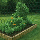 Premium Galvanised Wire Netting – 50mm Hexagonal Hole, Green PVC-Coated Steel