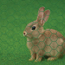 Heavy-Duty 50mm Green-Coated Wire Netting – Rust-Resistant, Multi-Purpose & Weatherproof!