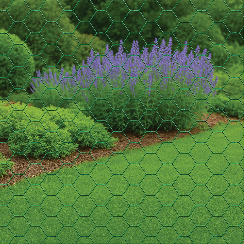 Premium Galvanised Wire Netting – 50mm Hexagonal Hole, Green PVC-Coated Steel