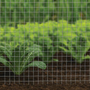 Premium Stainless Steel Wire Mesh – 6mm x 6mm Holes, 22 Gauge, Heavy-Duty & Rust-Resistant!