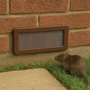 Mole-Proof Welded Wire Mesh – 6mm Square Holes, Stainless Steel Ground Barrier