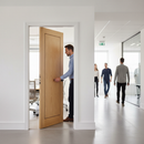 Premium Contemporary Flush Inlay Door with Fire Rating and Engineered Construction for Strength and Stability