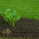 Premium 13mm Green-Coated Wire Netting – Rust-Resistant & Durable Garden Fencing!