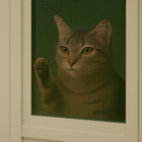 Insect Screen – Black Pet Proof Polyester Mesh for Doors & Windows