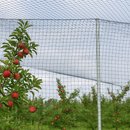 Black Plastic High Tensile Bird Netting – 100m Roll, 20mm X 15mm Holes, 80 Gsm