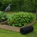 Black Plastic High Tensile Bird Netting – 100m Roll, 20mm X 15mm Holes, 80 Gsm
