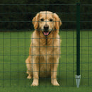 Fencing Kit – Green PVC Coated Welded Wire Mesh Complete Set Galvanised