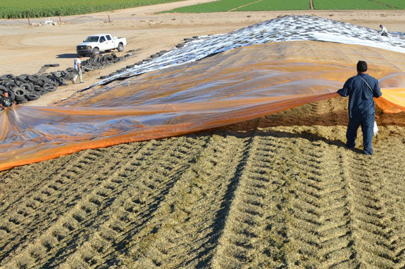 High Quality Orange Oxygen Barrier Silage Film Protect Silage With Quality Assurance