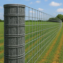 Premium Fox Protection/Chicken Enclosure Wire Mesh – 50x50mm Hole, 14 Gauge Galvanised