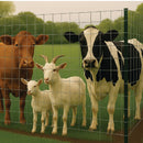 Premium Fox Protection/Chicken Enclosure Wire Mesh – 50x50mm Hole, 14 Gauge Galvanised