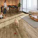 Premium 12mm Laminate Flooring with Bevelled V-Grooved Edges for Real Wood Appearance